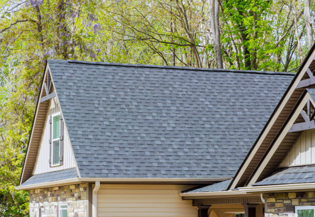 Best Gutter Replacement  in Elizabethtown, NC